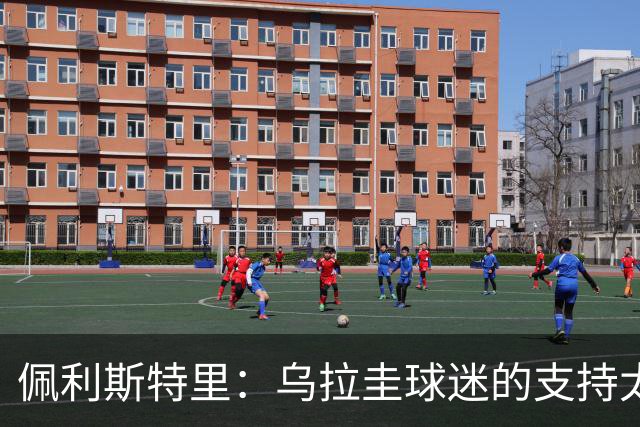 佩利斯特里：乌拉圭球迷的支持太给力了，我们会一场一场拼